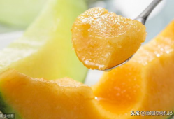 哈密瓜视频,探寻瓜果之王的魅力与奥秘